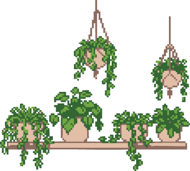 agencia_diseno_grafico_tienda_online_bogota_planta_pixel